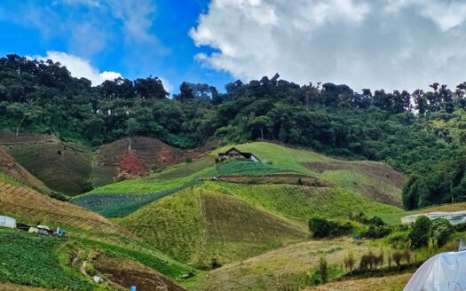 Se Vende Lote en Lobster Cove, Boca Chica – MLS 23468