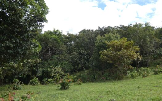 Propiedad boscosa de 5 hectáreas con manantial natural – MLS 23847