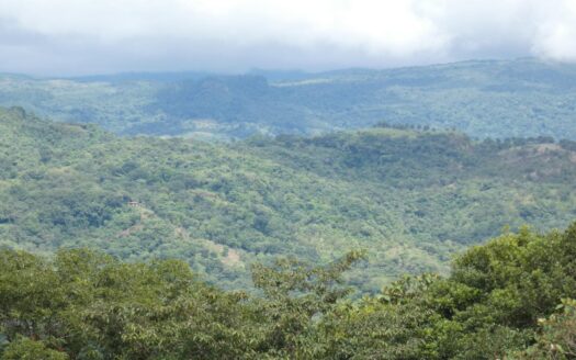 Propiedad boscosa de 5 hectáreas con manantial natural – MLS 23847