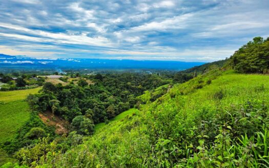 Finca Agrícola en Venta – Rovira, Dolega, Potrerillos – MLS 23598