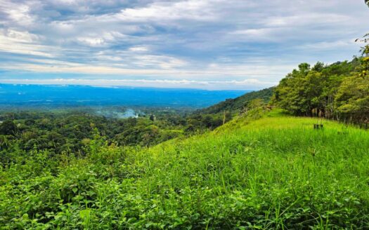 Finca Agrícola en Venta – Rovira, Dolega, Potrerillos – MLS 23598