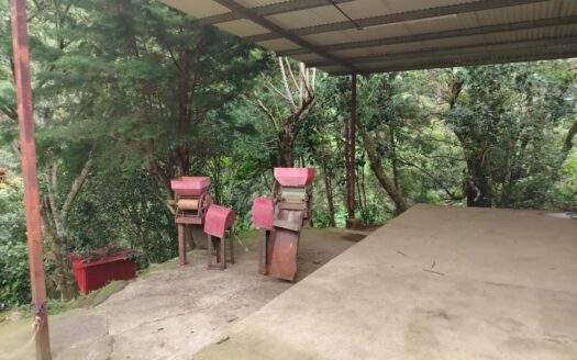 Finca de café ganadora del premio – MLS 23588