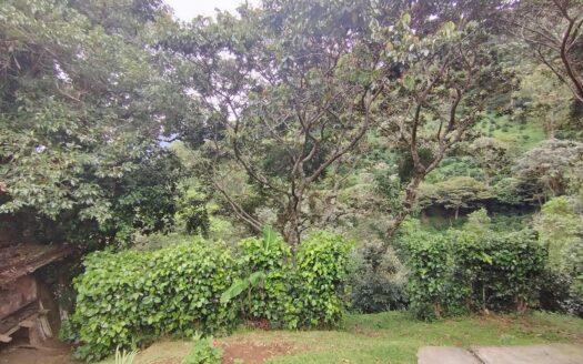 Finca de café ganadora del premio – MLS 23588