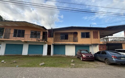 VENTA DE 2 CASAS Y 2 LOCALES COMERCIALES – MLS 23990