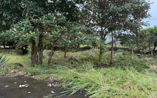 Lote edificable excepcional en Alto Boquete a un precio de venta – MLS 24002