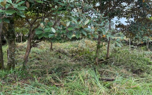 Lote edificable excepcional en Alto Boquete a un precio de venta – MLS 24002