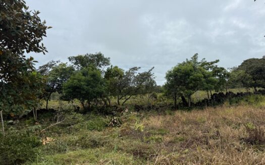 Lote edificable excepcional en Alto Boquete a un precio de venta – MLS 24002