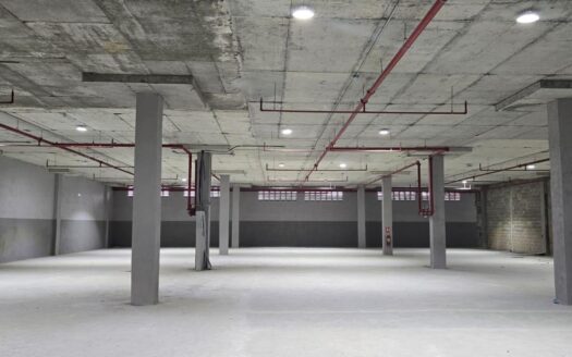 Alquiler de Bodega en France Field – Zona Libre de Colón – MLS 24005