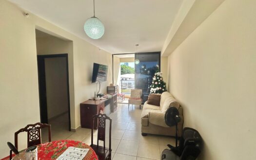 VENTA APARTAMENTO PH VISTA VERDE – MLS 24014