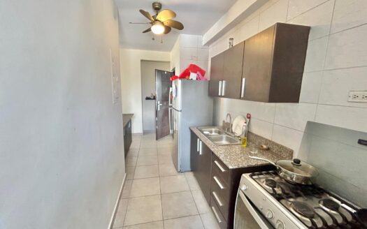 VENTA APARTAMENTO PH VISTA VERDE – MLS 24014