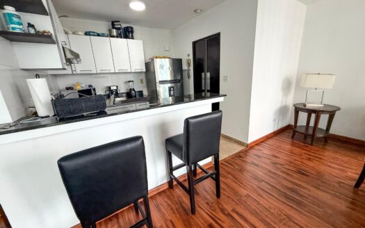 Apartamento en Venta en Avenida Balboa – PH Bayfront Tower – MLS 24011