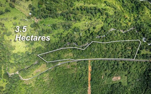 Terreno privado con cascada en venta en Caldera, Panamá – MLS 24007