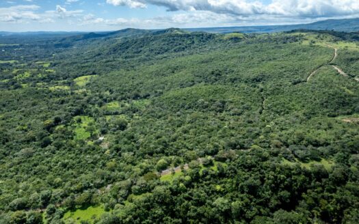 22 hectáreas de tierra prístina Caldera Panamá – MLS 24019