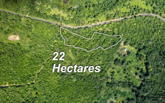 22 hectáreas de tierra prístina Caldera Panamá – MLS 24019