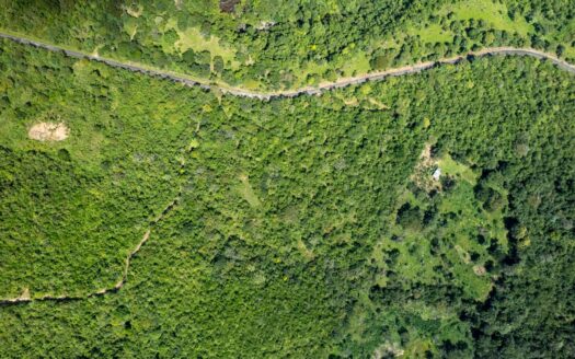 22 hectáreas de tierra prístina Caldera Panamá – MLS 24019