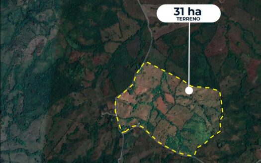 Venta de Finca agronoma de Los Higos, Ocú – MLS 18739