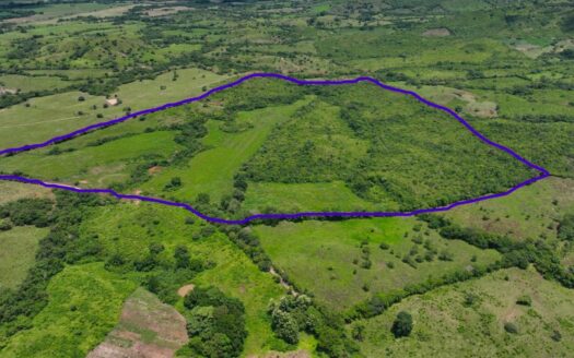 Venta de Finca agronoma de Los Higos, Ocú – MLS 18739