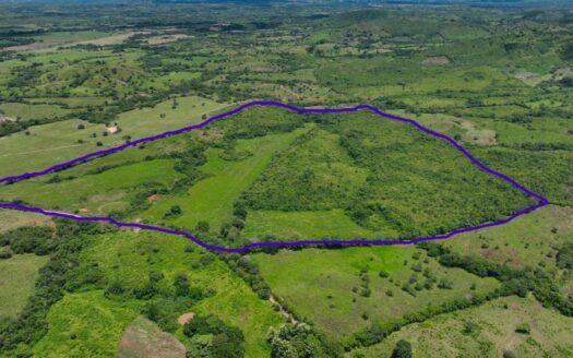 Venta de Finca agronoma de Los Higos, Ocú – MLS 18739