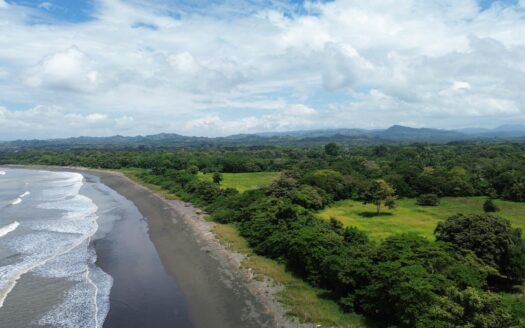 +9 Hectáreas de Terreno Plano Frente al Mar en Venta – MLS 24000