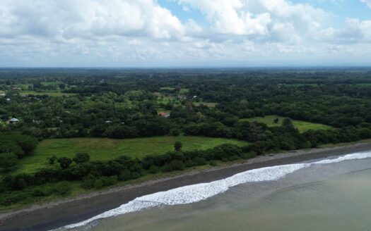 +9 Hectáreas de Terreno Plano Frente al Mar en Venta – MLS 24000