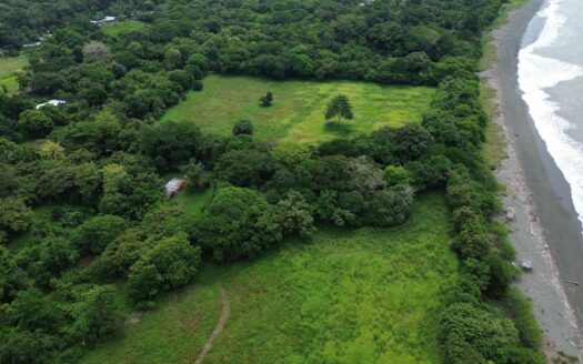 +9 Hectáreas de Terreno Plano Frente al Mar en Venta – MLS 24000