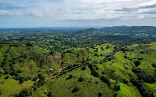 Finca de 7 Ha en Las Tablas Los Santos Panamá – MLS 23995