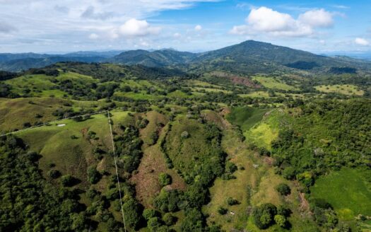 Finca de 29 Ha en Palmira Las Tablas Los Santos Panamá – MLS 23994