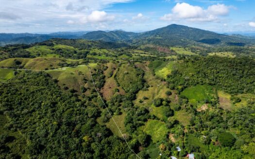Finca de 29 Ha en Palmira Las Tablas Los Santos Panamá – MLS 23994
