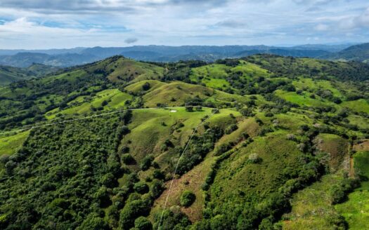 Finca de 29 Ha en Palmira Las Tablas Los Santos Panamá – MLS 23994