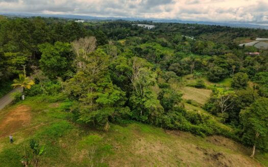 Venta de lote de 5 Hectáreas en la Frontera con Costa Rica – MLS 24163