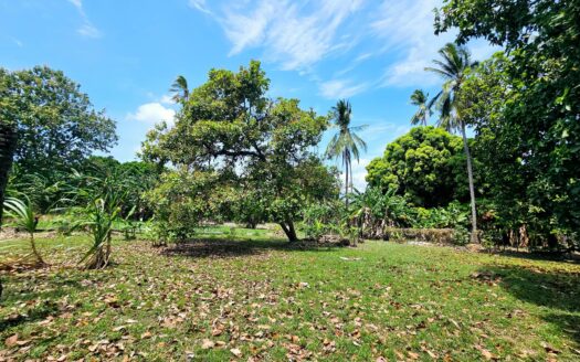 SE VENDE – TERRENO EN CHAME – MLS 24291