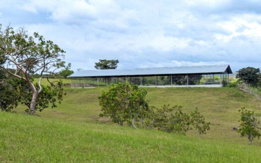 Venta de Granja con mejoras en San Carlos – MLS 24342