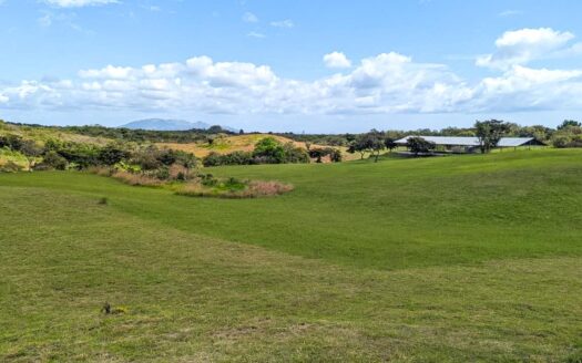 Venta de Granja con mejoras en San Carlos – MLS 24342