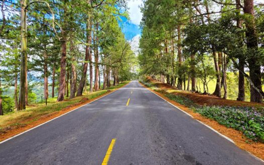 Emblematic Santa Clara Estate – MLS 24372