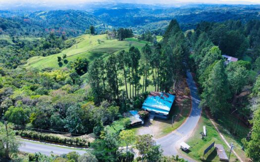 Emblematic Santa Clara Estate – MLS 24372