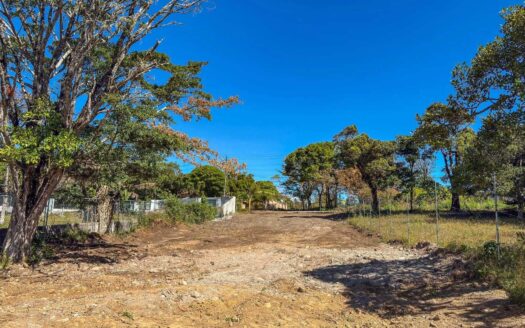 Hermoso Lote de 1/4 de Acre en venta en Palmira Boquete – MLS 24387